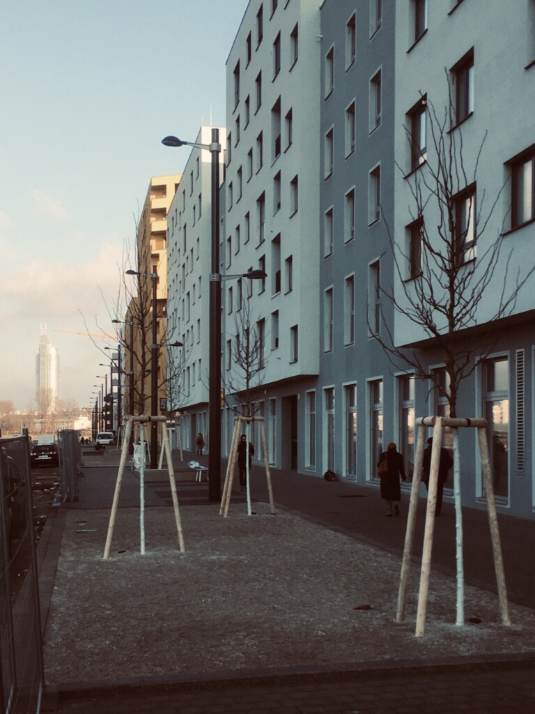 Drei noch sehr zarte Bäume mit Holzumrandung am rechten Gehweg (stadtauswärts gesehen) vor Häusern in der Bruno-Marek-Allee.